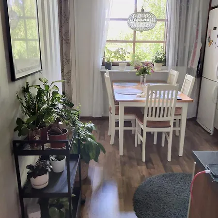 アパート Two-room With Sauna In The Old Town サヴォンリンナ