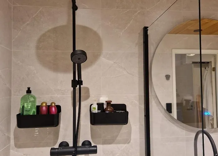 Two-room With Sauna In The Old Town 萨翁林纳