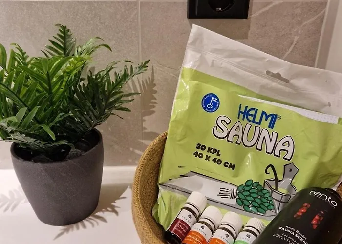 Two-room With Sauna In The Old Town * 萨翁林纳