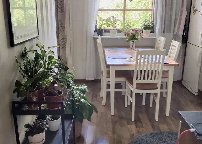 公寓 Two-room With Sauna In The Old Town 萨翁林纳